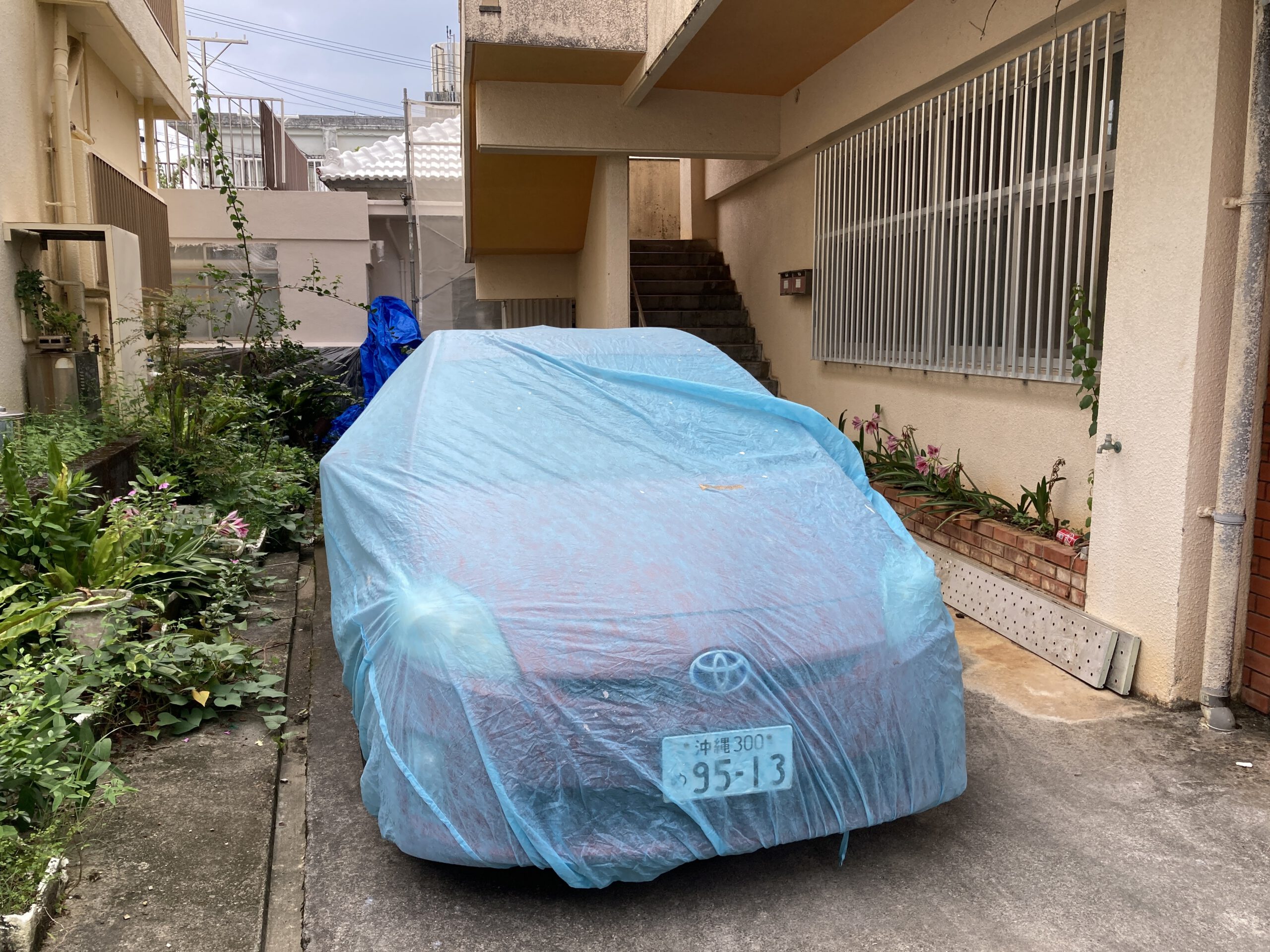 養生写真